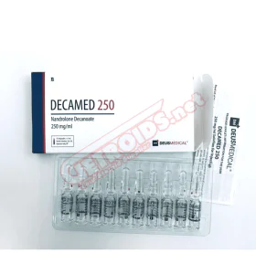 DECAMED 250 Deus Medical - Image 3