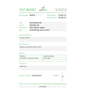 DECAMED 250 Deus Medical - Image 2